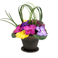 Etiqueta Vanda- base de cerámica con orquídea vanda