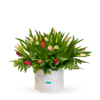 Etiqueta Holandesa-caja con 50 tulipanes de colores