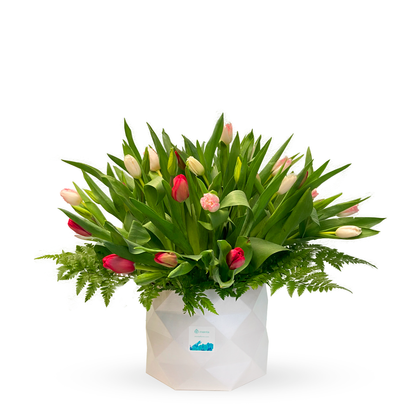 Etiqueta Holandesa-caja con 50 tulipanes de colores