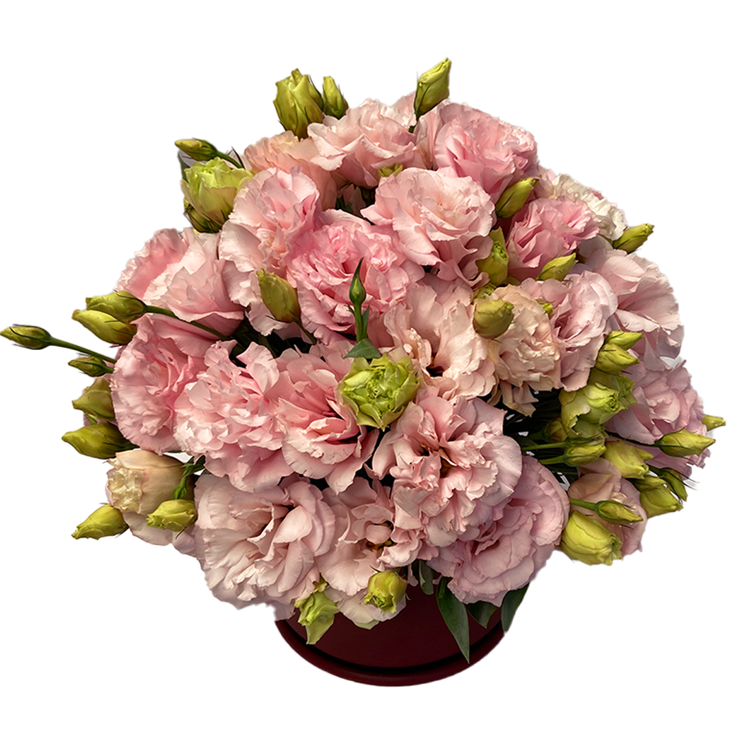 Florencia-Base de cerámica tinto con lisianthus rosa