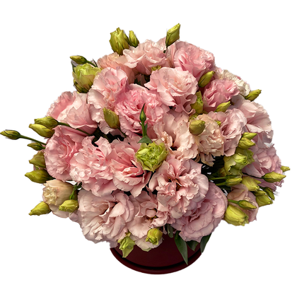Florencia-Base de cerámica tinto con lisianthus rosa