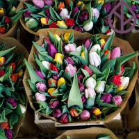 Exclusivo Ramo Menta Multicolor de 60 tulipanes envuelto en papel Kraft