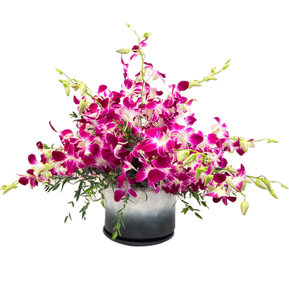 Lucía-Base cerámica orquídea dendrobium