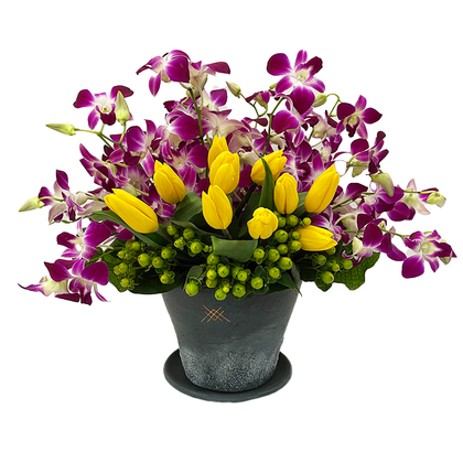 Karla- base de cerámica con orquídea dendrobium y tulipanes