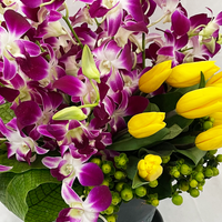 Karla- base de cerámica con orquídea dendrobium y tulipanes