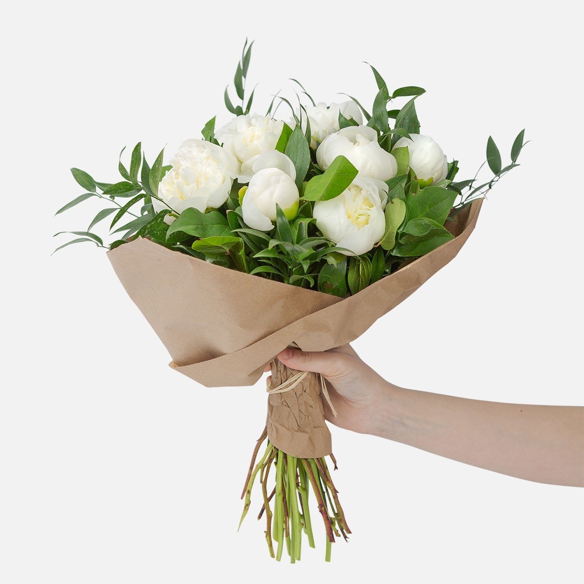 Ramo de 10 Peonías (Importada)