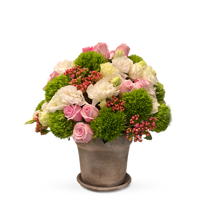 Amalia-maceta con rosas rosas y lisianthus blanco