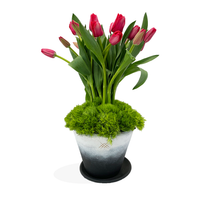 África-Base de cerámica con tulipanes