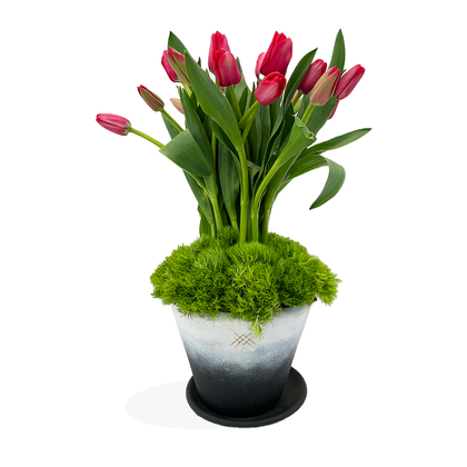 África-Base de cerámica con tulipanes