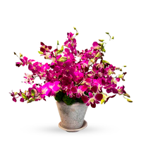 Elisa-base de cerámica con orquídea dendrobium