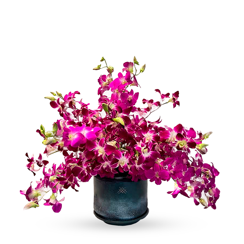 Etiqueta Gris-base de cerámica con orquídea dendrobium