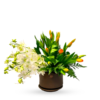 Katia-base de cerámica con orquídea dendrobium y 20 tulipanes