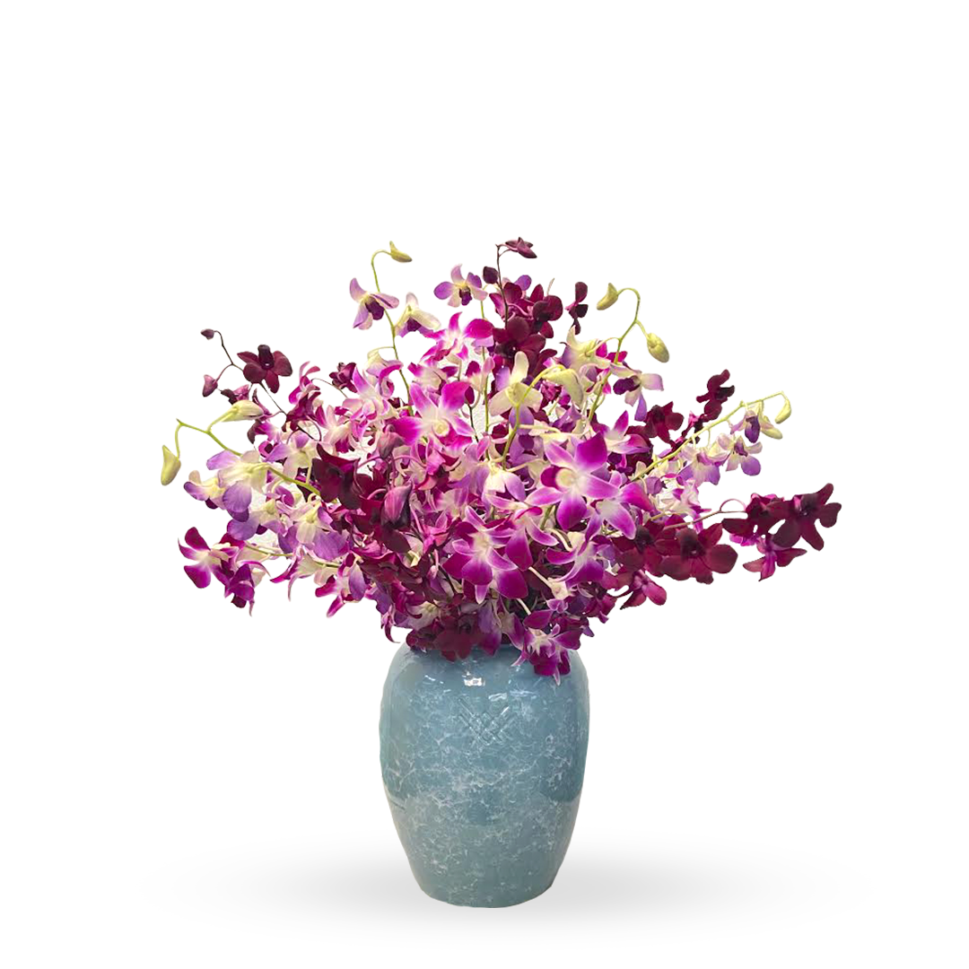 Etiqueta Menta-florero de cerámica menta con orquídea dendrobium